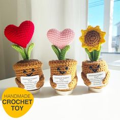 three crocheted planters with flowers in them and the words handmade crochet toy