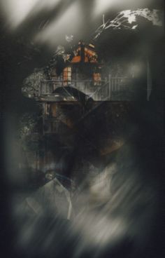 an abstract photograph of a house in the woods