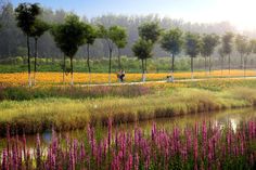 two people riding bikes on a path near a river and wildflowers in the background