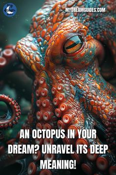 an octopus in your dream? unravel its deep meaning - mydreamdules com