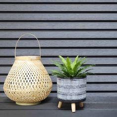 two potted plants sitting next to each other on top of a wooden table in front of a gray wall