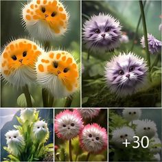 several pictures of different flowers and plants with the same cat's face on them