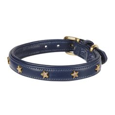 a blue leather dog collar with gold stars on it