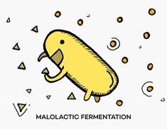 an animal with its mouth open and tongue out in front of the caption that says malolactic fermination