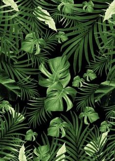 green leaves and plants on a black background