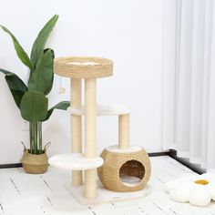 a cat tree with several scratching posts and a potted plant on the floor next to it