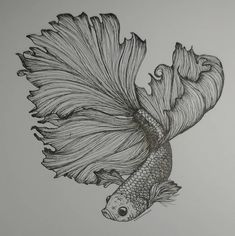 a drawing of a fish that is swimming in the water with it's tail up