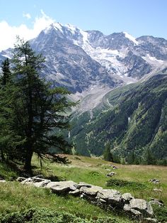 the mountains are covered in snow and green grass with rocks on each side, as well as pine trees