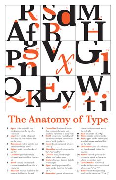 an orange and black type poster with the words anatomy of typograms on it