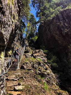 some people are climbing up stairs in the mountains with rocks and trees on either side