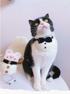 a black and white cat wearing a bow tie