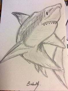 a drawing of a shark with its mouth open