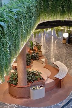 an indoor plant filled with lots of green plants and potted plants on top of it