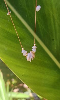 two necklaces sitting on top of a green leaf