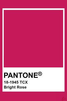 the pantone color is bright rose