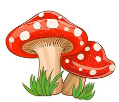 a red mushroom with white dots on it's cap and green grass around it