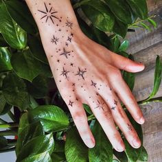 a woman's hand with stars on it and green leaves around her, next to a potted plant