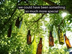 there are many empty bottles hanging from the tree in the forest, and one is saying we could have been something so much more special