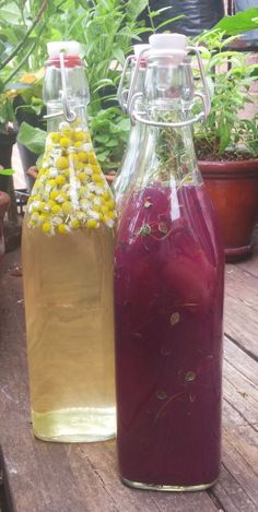 two bottles filled with liquid sitting on top of a wooden table next to potted plants