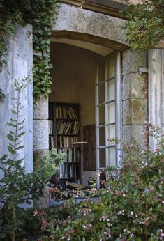 an open window with bookshelves and plants in the foreground, next to it is a bookcase full of books