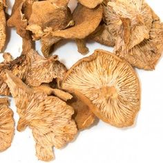 dried mushrooms on a white background