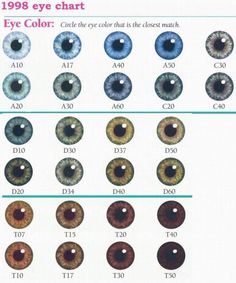 Eye Color Facts, Eye Color Chart, Eye Chart, Gray Eyes, Natural Eyes, Hazel Eyes, Pretty Eyes, Eye Shapes, Drawing Tips