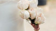 the bride is holding her bouquet of white roses