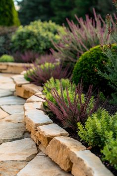 Stone path bordered by lush greenery and purple flowering plants. Pavers For Landscape Edging, Pavers As Edging Garden Beds, Rock Borders Edging Sidewalk, Paving Edging Ideas, Stone Borders For Flower Beds, Garden Border Design Ideas, Edging With Rocks, Landscaping Borders Edging, Garden Edge Ideas