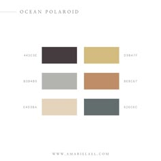 the color scheme for ocean polaroid is shown in three different colors, including black, brown