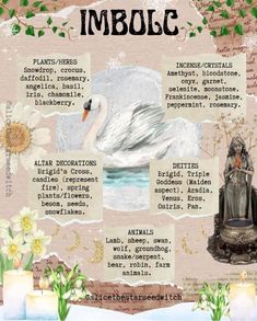 an image of a poster with words and pictures on it that say imbolc