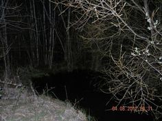 a black hole in the woods at night with no leaves on it and trees around