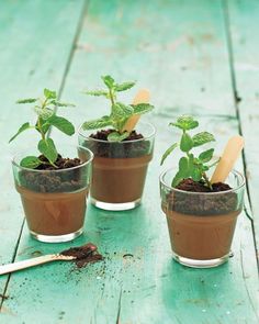 three small pots filled with dirt and plants