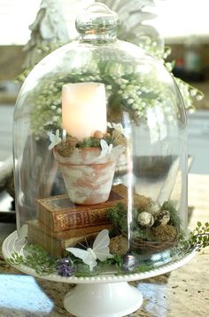 a glass cloche with a candle and some plants