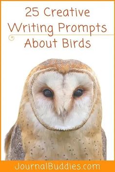 an owl with the title 25 creative writing prompts about birds