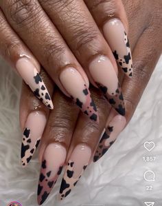 Nude Animal Print Nails, Cow Nails, Pointed Nails, Diy Acrylic Nails, Nail Candy, French Acrylic Nails, Drip Nails