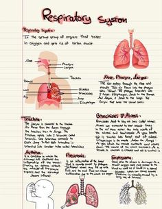 the anatomy of the human body is shown in this diagram, with labels on it