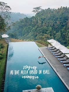 the pool is surrounded by lounge chairs and umbrellas, with a quote written on it