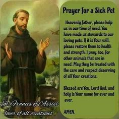 Prayer For Sick Dog, Purina Dog Food, Pet Healing, Sick Puppies, Sick Cat, Homemade Goodies, Sick Dog, Good Prayers, Francis Of Assisi