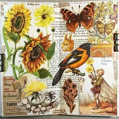 an open book with pictures of birds, flowers and butterflies on the pages is shown