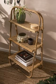 a bamboo shelf with books and plants on it next to a potted spider plant