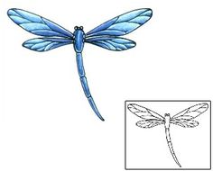 a blue dragonfly sitting on top of a white surface next to an image of the wings