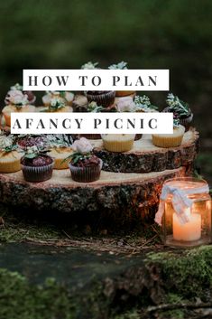 cupcakes are arranged on top of a tree stump with the words how to plan an afancy picnic