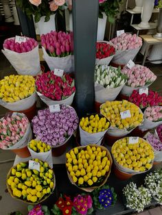 many different colored tulips are on display for sale