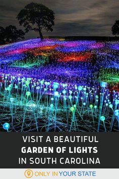 the words visit a beautiful garden of lights in south carolina only in your state are you?