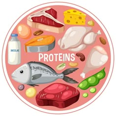 Carbohydrates Food Drawing, Protein Foods Drawing, Food And Nutrition Posters, Protein Drawing, Protein Illustration, Famous Graphic Designers, Graphic Design For Beginners, Nutrition Student, Food Animation