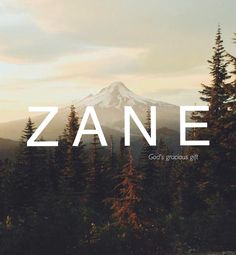 a mountain with trees and the words zane in white over it's image