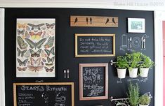 a chalkboard wall with pictures and plants on it