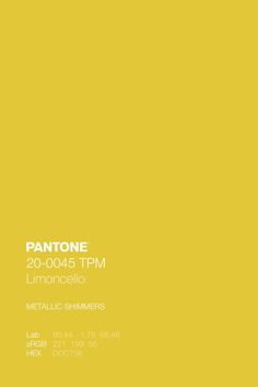 a yellow poster with the words pantonee in white and black lettering on it