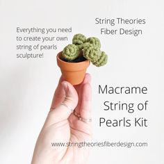 a hand holding a small potted plant with the words macrame string of pearls kit