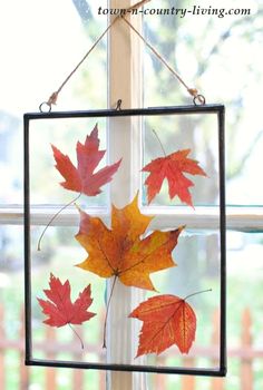 three autumn leaves hanging from a window sill